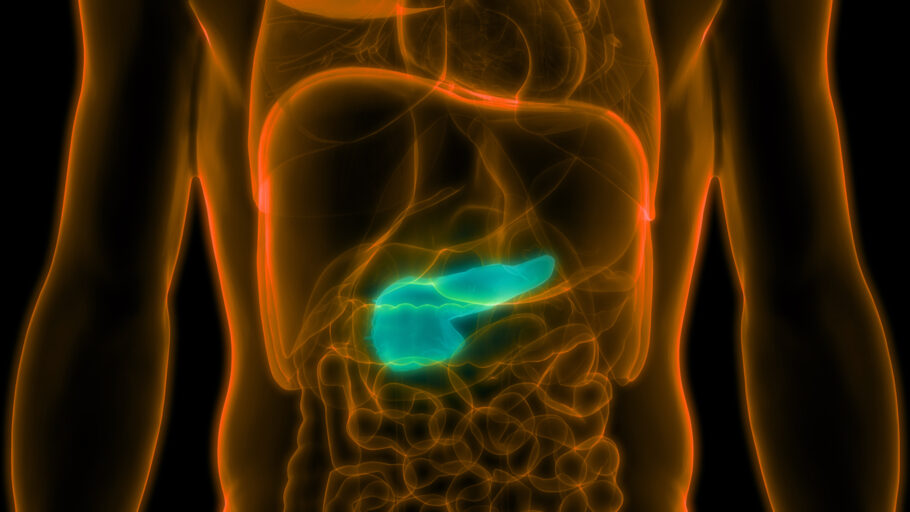 O pâncreas é uma glândula localizada no abdômen, atrás do estômago e entre o duodeno e o baço