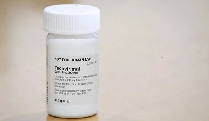 Anvisa aprova uso do medicamento tecovirimat, um antiviral contra a varíola dos macacos