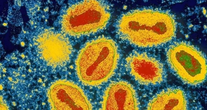 vírus da varíola dos macacos foi detectado em cachorro em MG