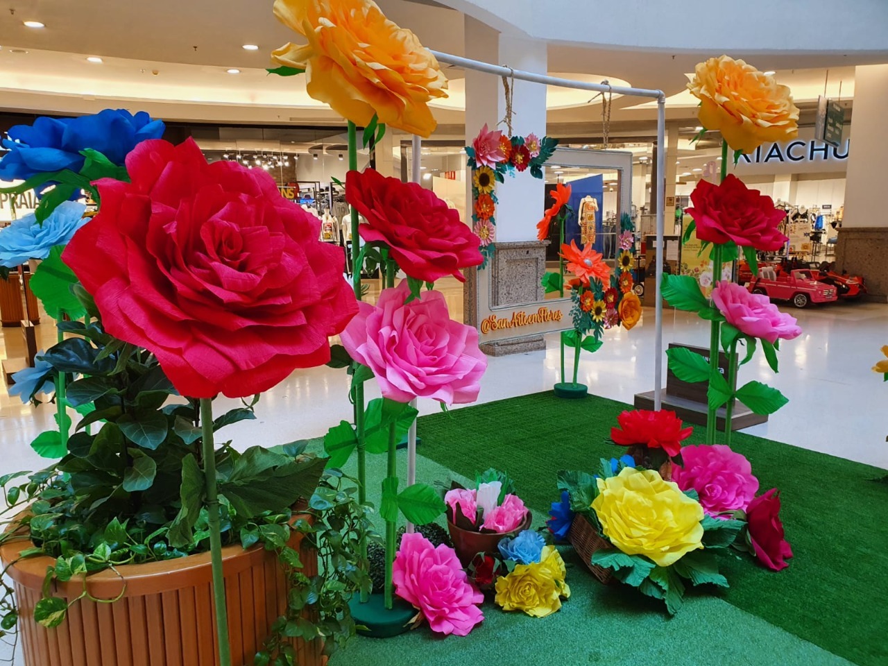 Diadema recebe exposição gratuita de flores gigantes