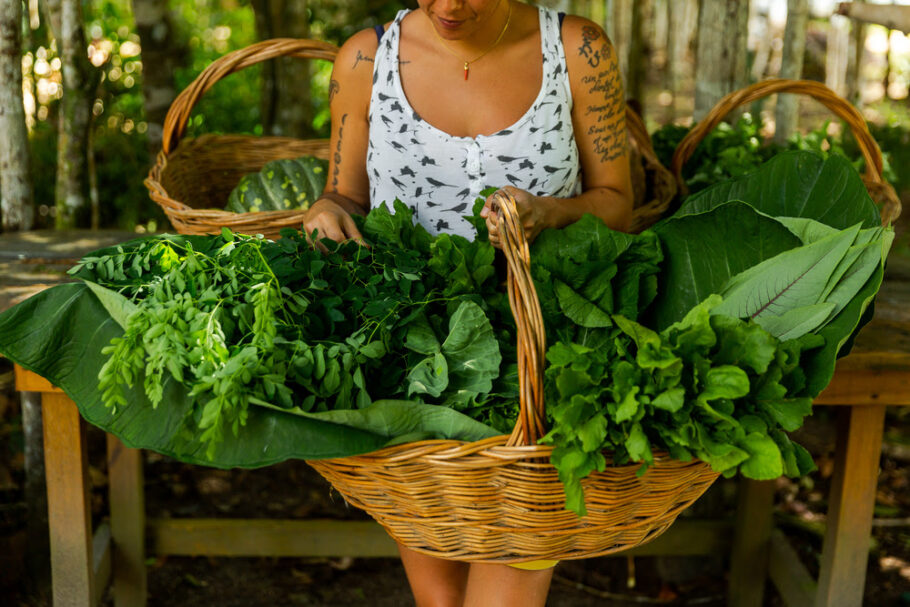 O Organic Festival também vai reunir produtores de alimentos orgânicos da região de Trancoso