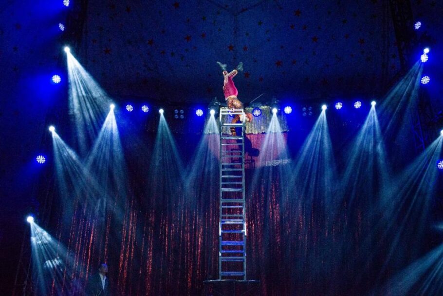 Maior circo gratuito da América Latina fica em Santo André até 2 de outubro. Foto: Divulgação.