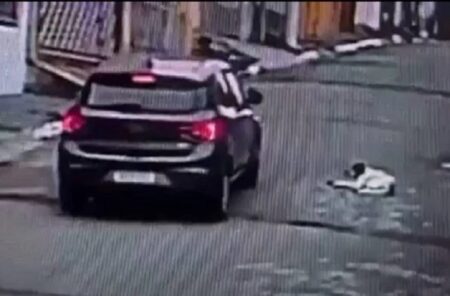 Motorista atropela cachorro de propósito na zona leste de SP