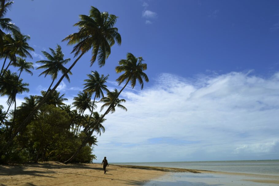 Destino baiano tem praias paradisíacas de águas mornas e quase desertas com enormes coqueiros