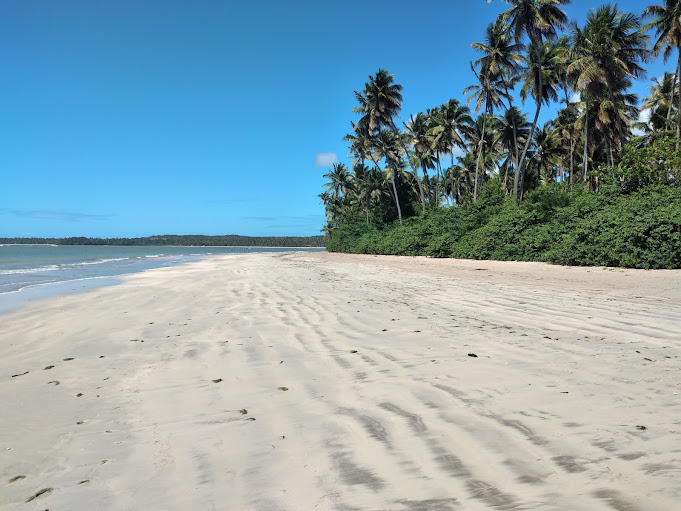A praia de Tassimirim e sua extensa faixa de areia
