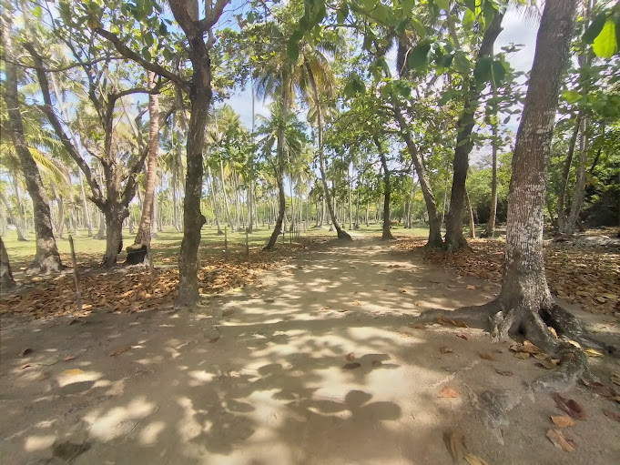 Trilha para a praia de Moreré, em Boipeba (BA)