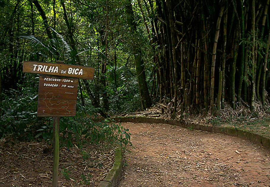  Trilha da Bica, no Núcleo Pedra Grande, no Parque Estadual da Cantareira