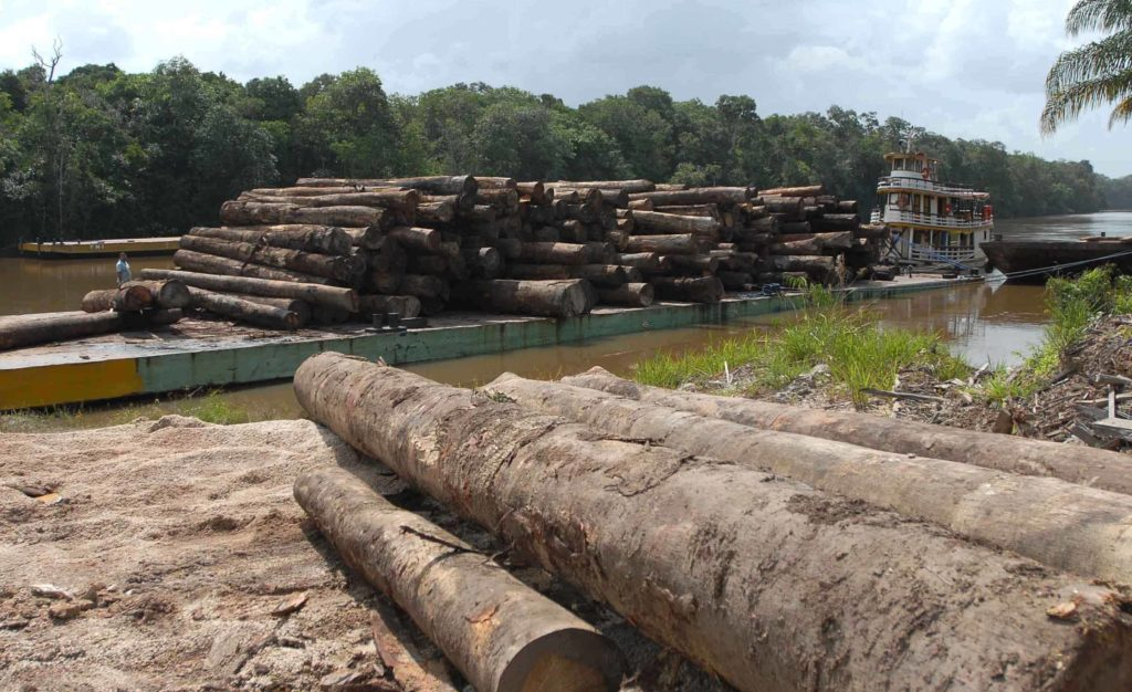 Entre 2018 e 2021, o governo Bolsonaro promoveu crescimento de 57% do desmatamento da Amazônia