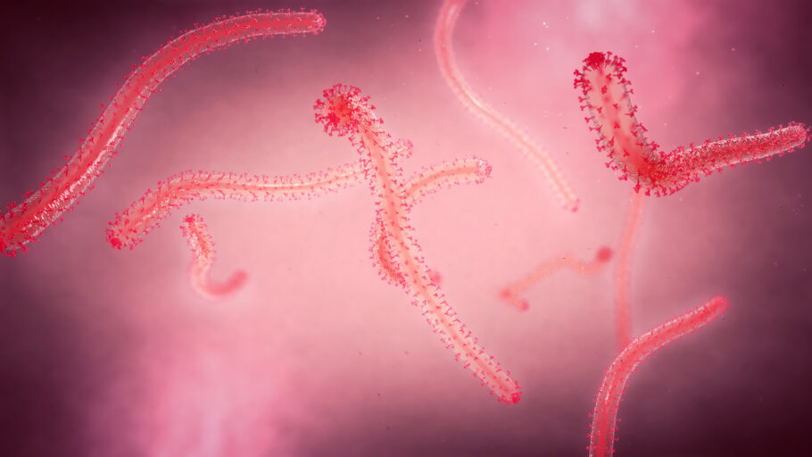 Surto de ebola mata 29 pessoas em Uganda em suas semanas