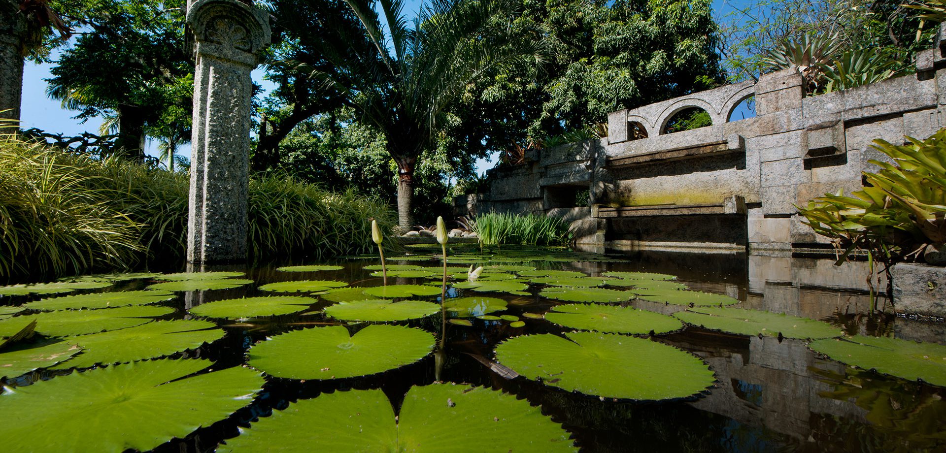 O Sítio Roberto Burle Marx abriga toda a coleção de plantas desse grande paisagista brasileiro