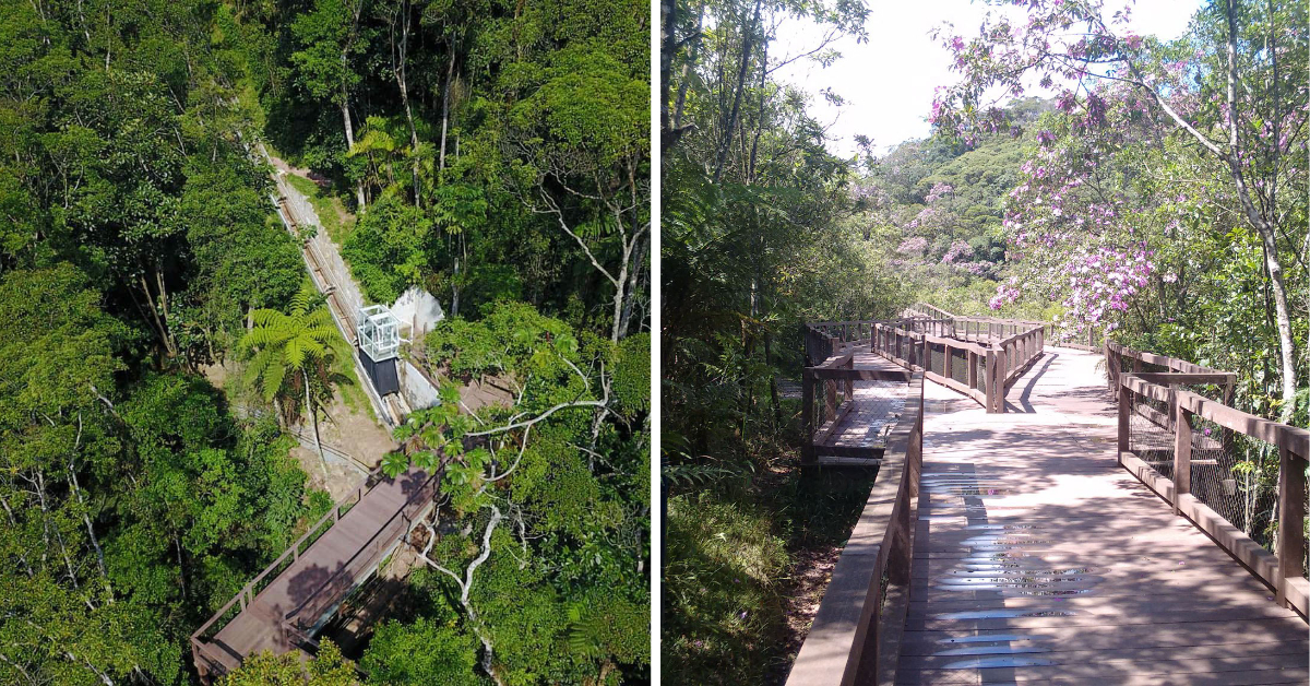 O Parque Ecológico Imigrantes é uma reserva de Mata Atlântica na Grande São Paulo