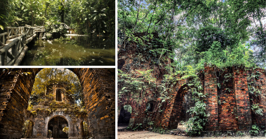 80 mil espécies de flora e fauna habitam o Bosque Rodrigues Alves. Impressionante!