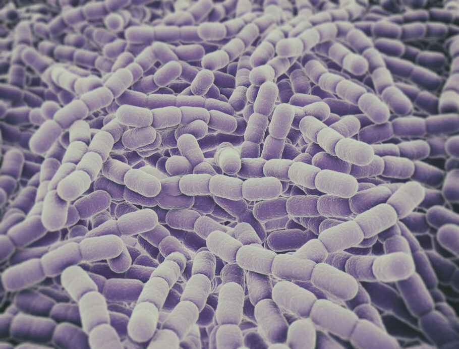 Infecção por Staphylococcus aureus foi  a principal causa bacteriana de morte entre pessoas com mais de 15 anos