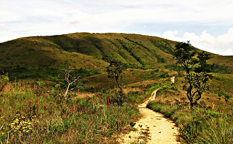 Parque Estadual do Juquery, na Grande SP, ganha trilha de mountain bike