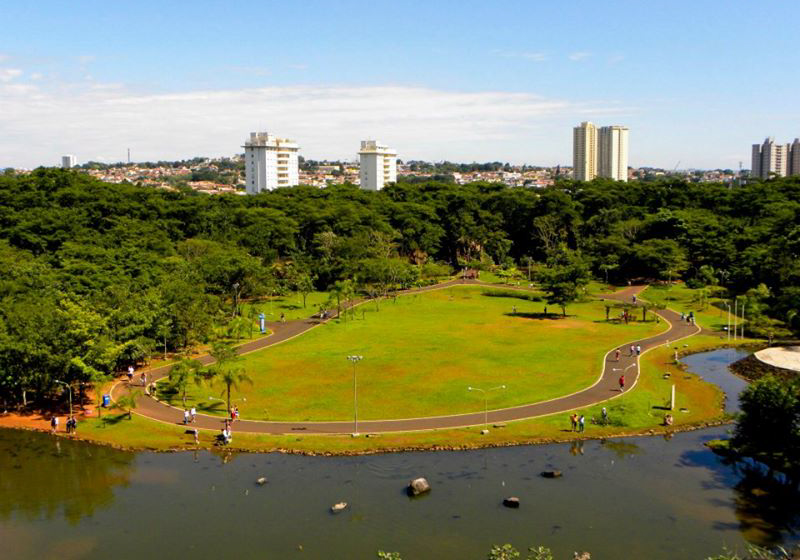 Um respiro verde em meio á cidade