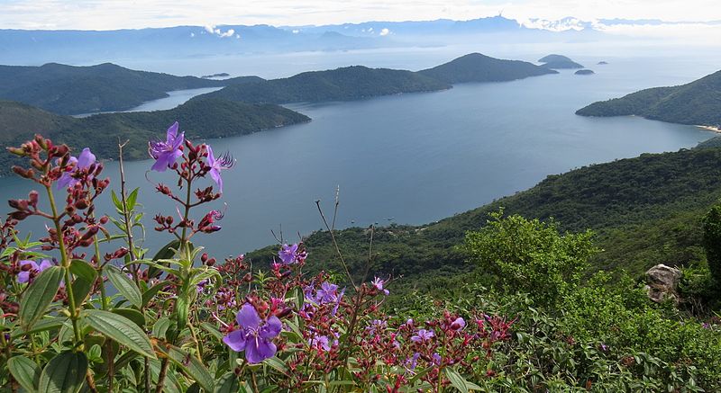 Pico do Pão de Açúcar ,no Saco do Mamanguá, em Paraty (SP)