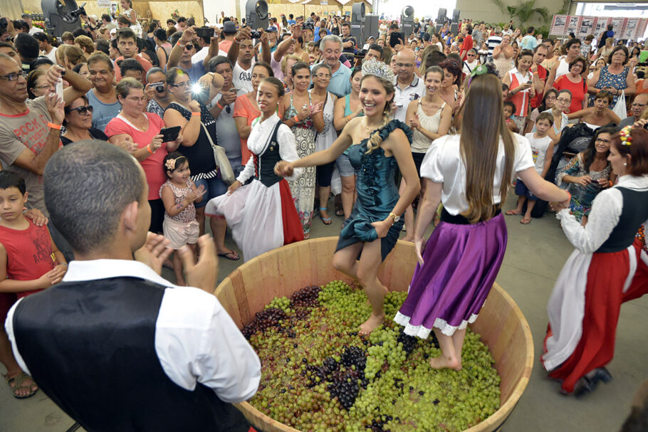 A tradicional cerimônia da pisa da uva é um dos destaques no evento e uma experiência única para os visitantes