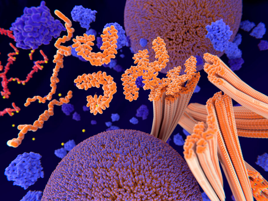 O teste funciona detectando um novo biomarcador da doença de Alzheimer