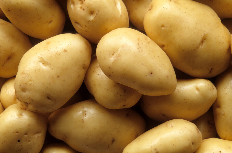 Cientistas acreditam que batatas podem conter a cura para o câncer