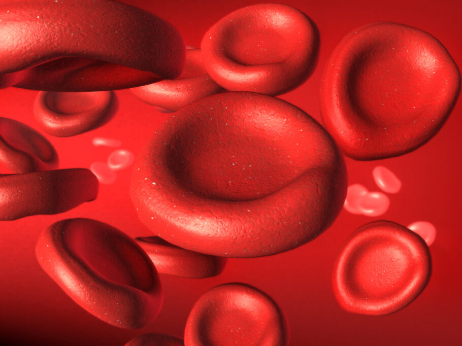 A função principal do ferro é nos glóbulos vermelhos, onde ajuda a produzir uma proteína chamada hemoglobina, que transporta oxigênio no sangue dos pulmões para todas as células do corpo
