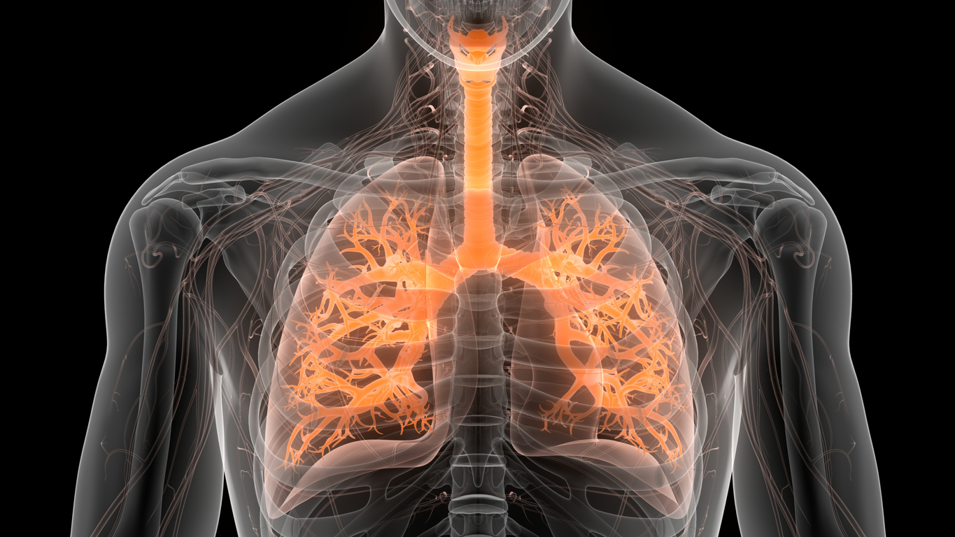 A fibrose deixa cicatrizes no pulmão