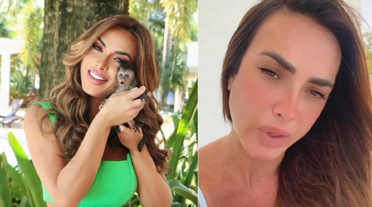 Polícia e Ibama retiram macacos de sítio de Nicole Bahls