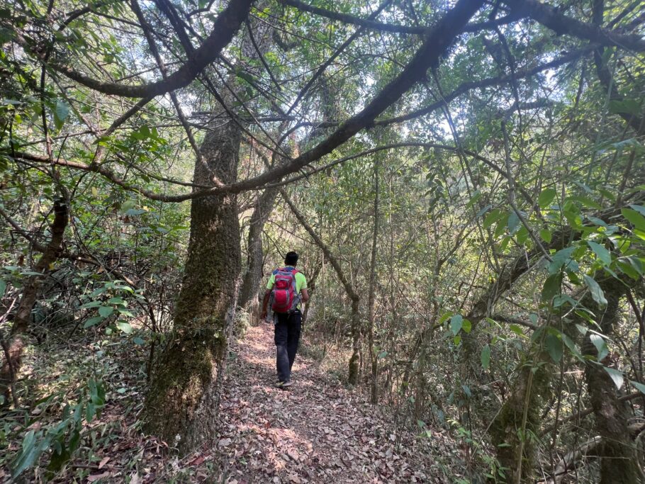 Guia Nicasio Teorodo Sarapura  conhece todas as trilhas de imersão na natureza em San Lorenzo