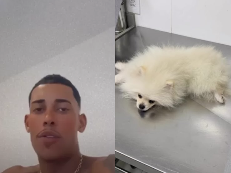 MC Poze do Rodo será investigado por maus-tratos após cachorro comer maconha