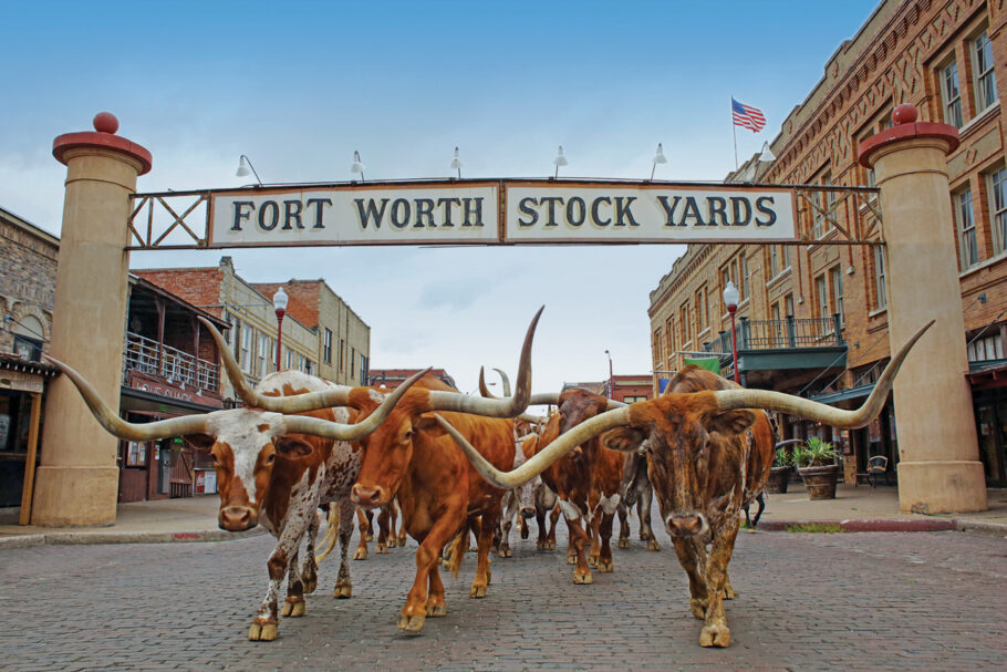 Fort Worth, no Texas, é destino ideal para fãs dos filmes de faroeste
