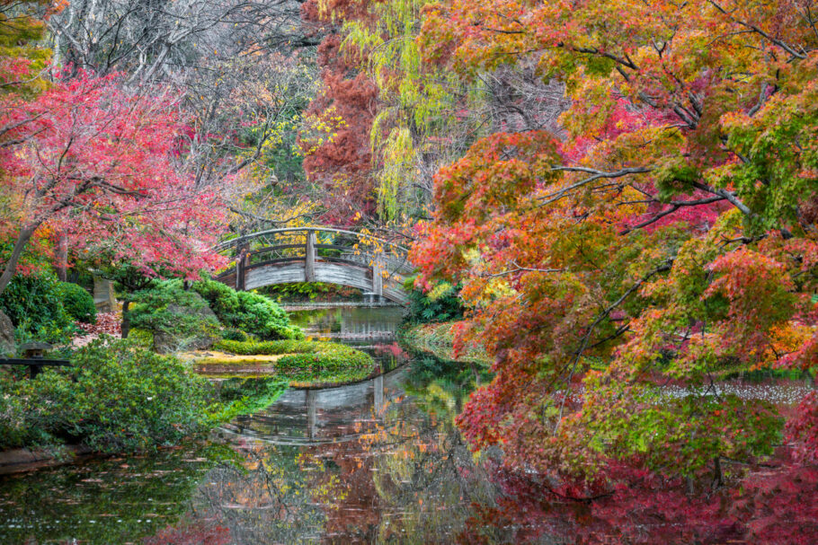 Jardim Botânico de Fort Worth, no Texas; as cores do outono transformam a paisagem