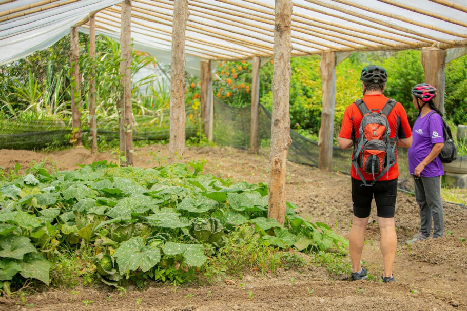 Plantações do Eco Jusa; sítio serve como ponto de apoio para ciclistas, motociclistas e grupos de cavalgada