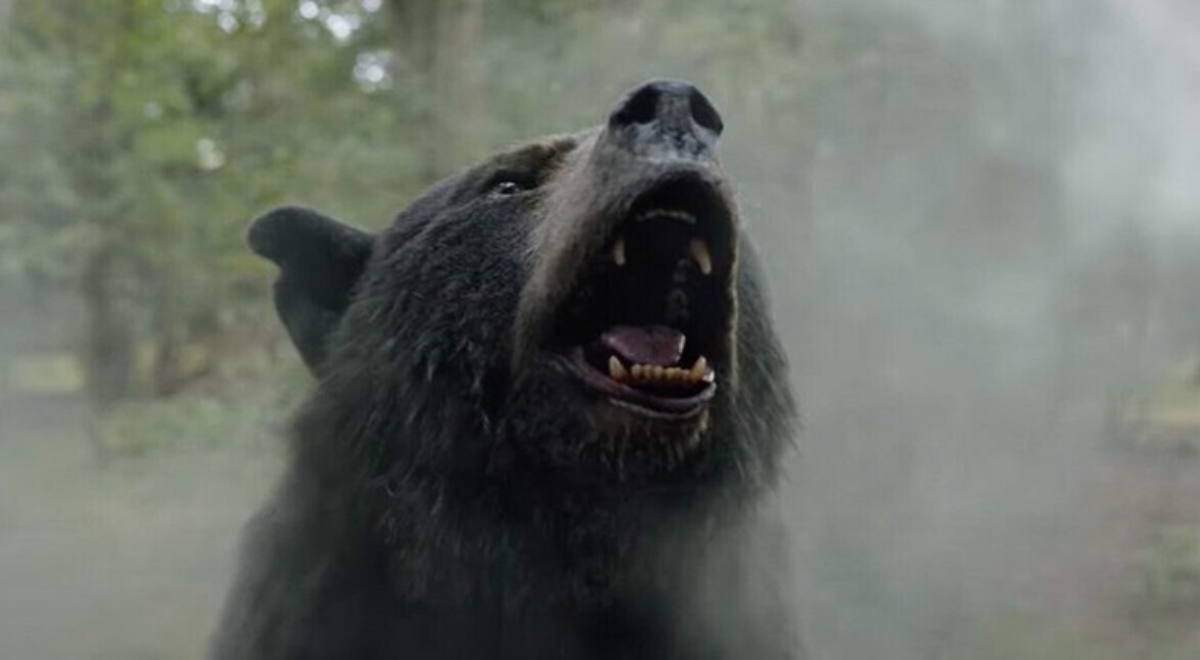 Conheça a história real por trás do filme 'O Urso do Pó Branco