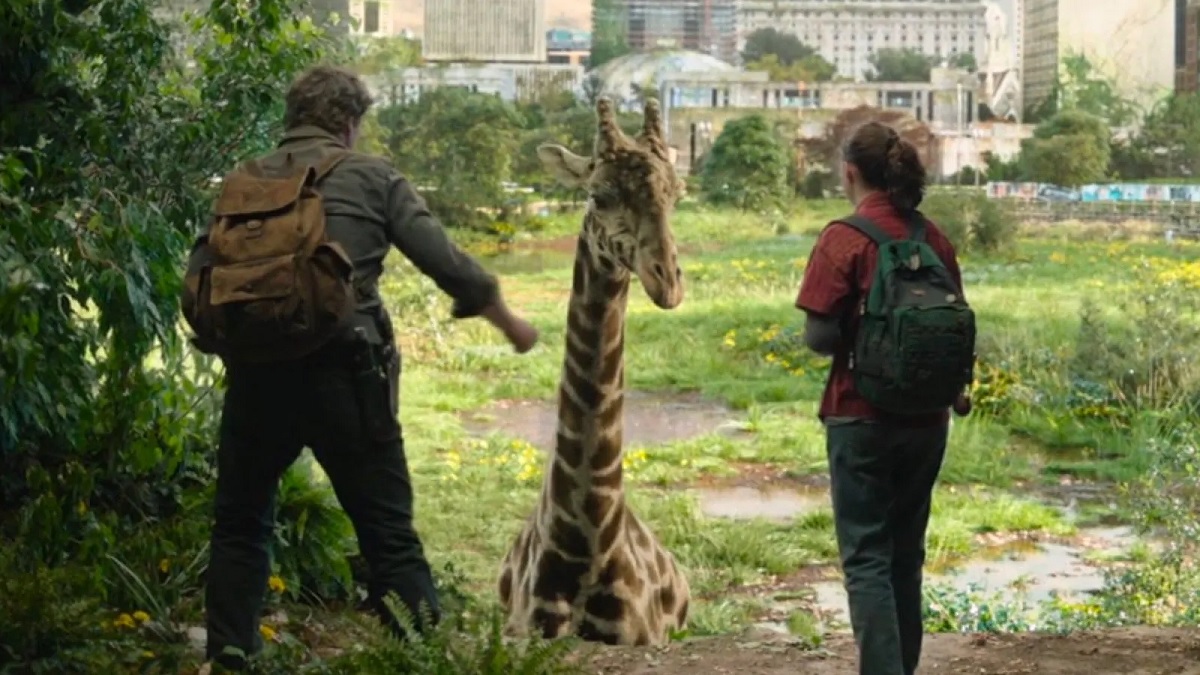 Girafa que aparece no último episódio de The Last Of Us é real?