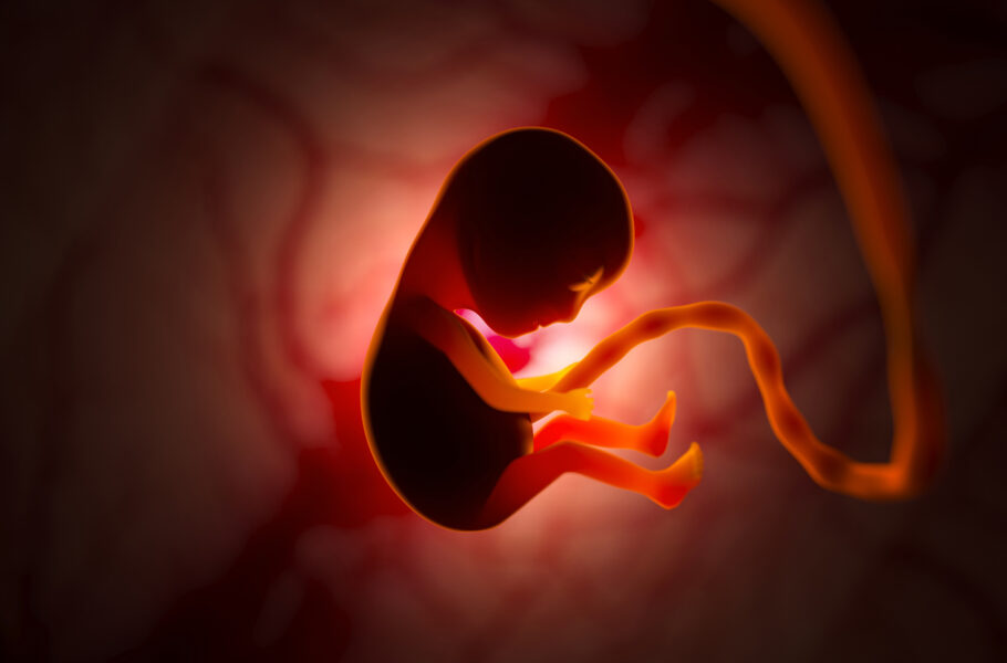 Há cerca de 200 casos de feto desenvolvido dentro do outro