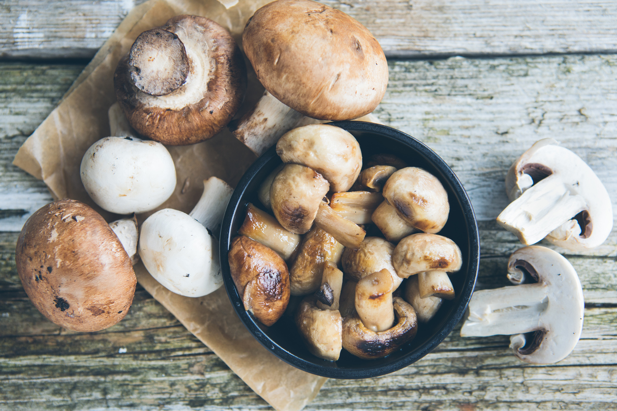 Entenda os benefícios dos cogumelos brancos e por que eles são fundamentais para a manutenção da saúde – iStock/Getty Images