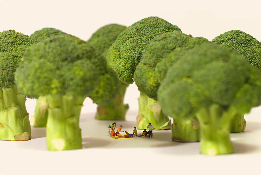Tudo começou com um brócolis!