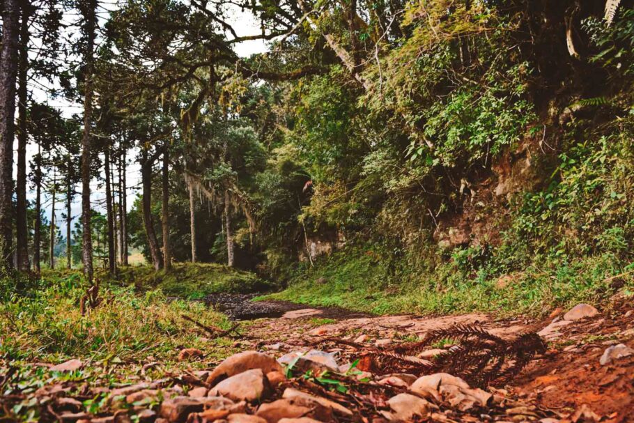 A Serra Catarinense tem trilhas para todos os níveis