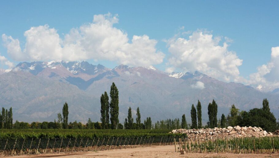 Vinhedos da vinícola Zuccardi, no Vale de Uco, na região de Mendoza, Argentina