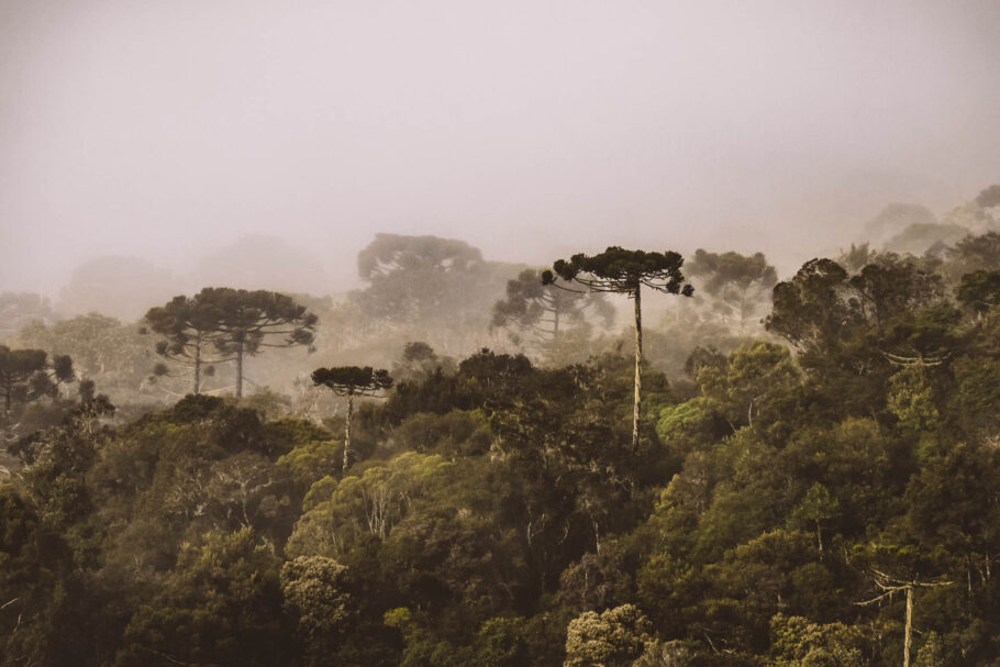 frio na serra catarinense