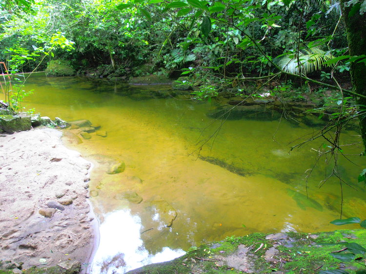 Riacha na Reserva Ecovila El Nagual