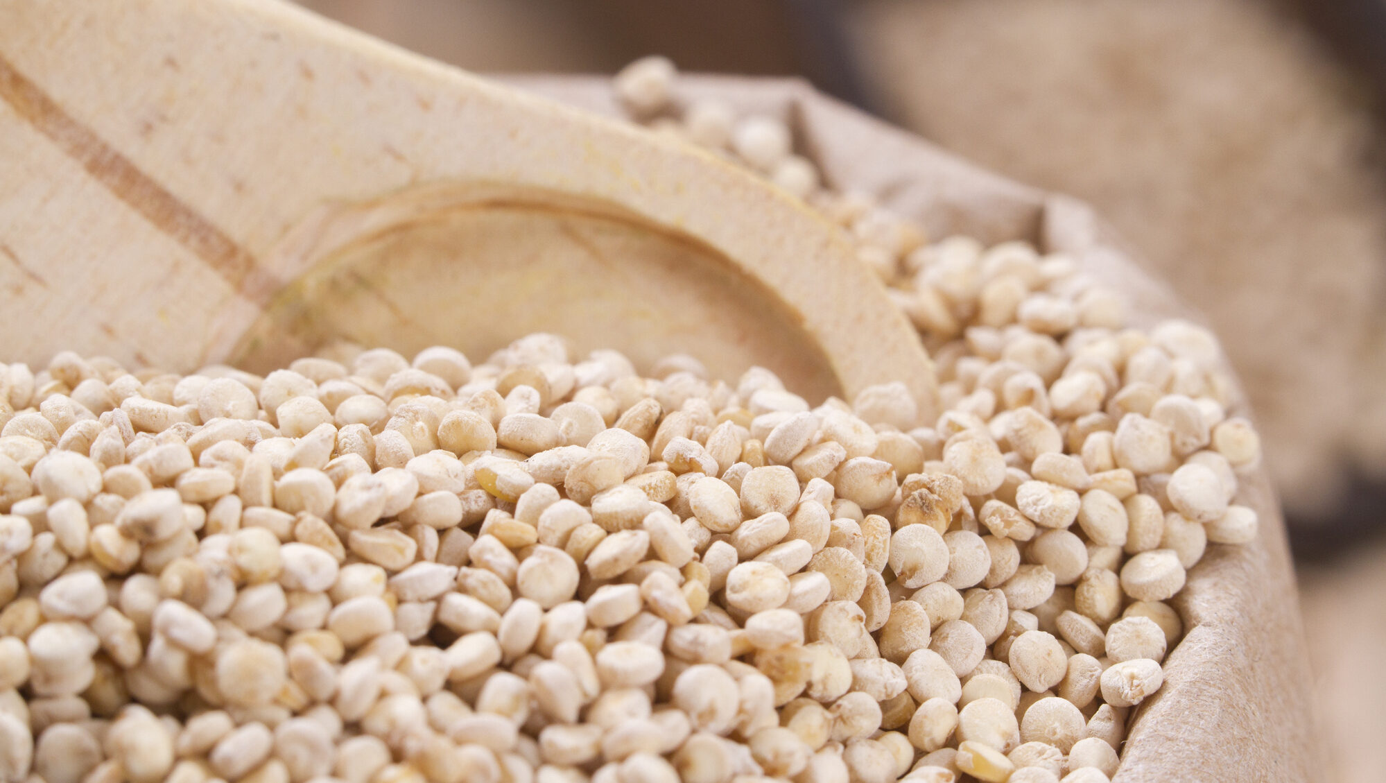 Conheça os benefícios da quinoa