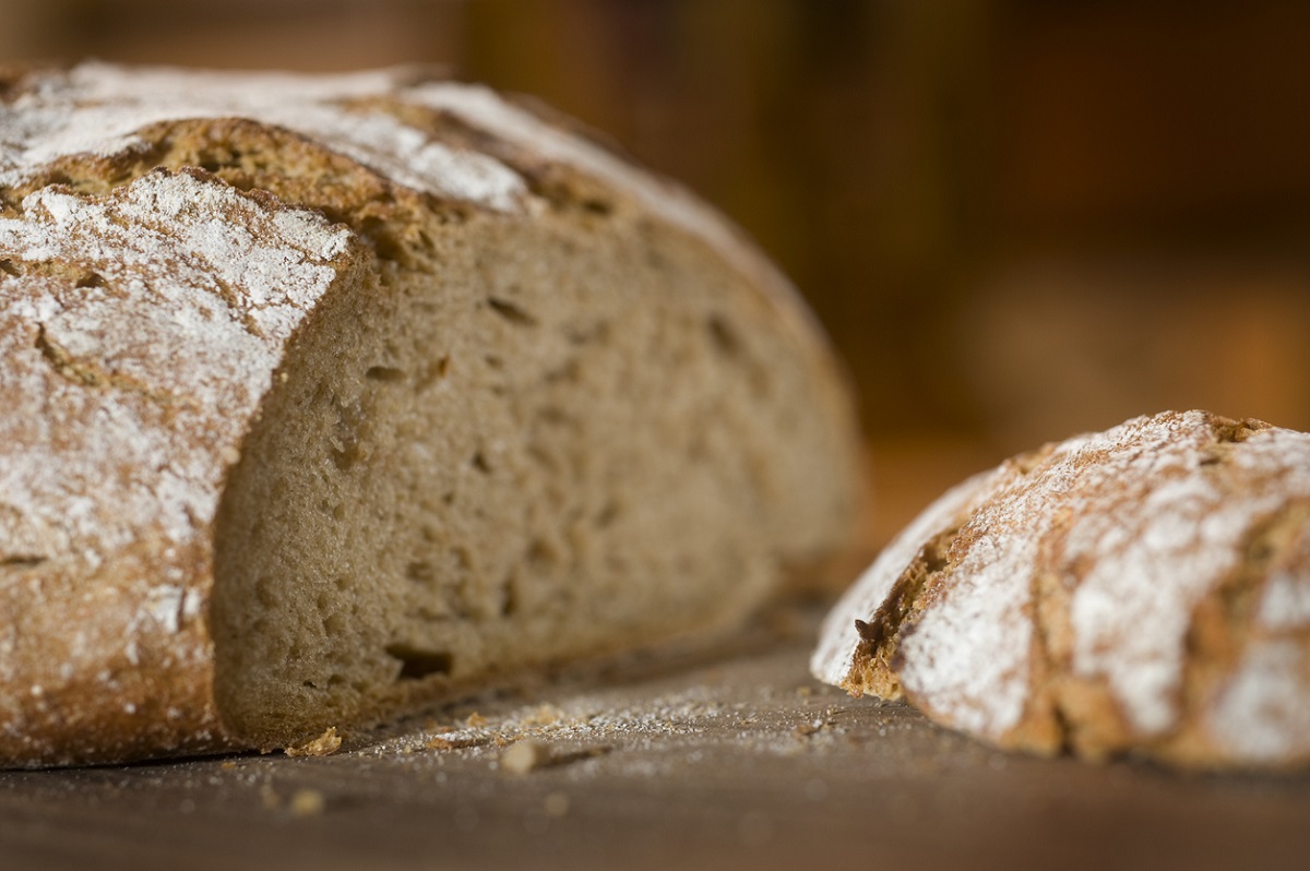 Experimente esse pão integral feito no micro-ondas em 2 minutos