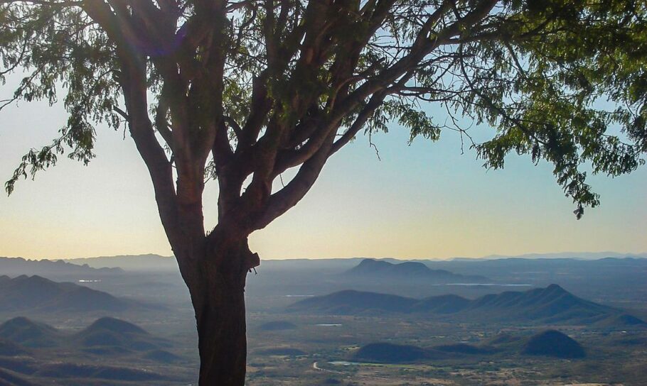 Vista do Parque Nacional da Serra do Teixeira, na Paraíba