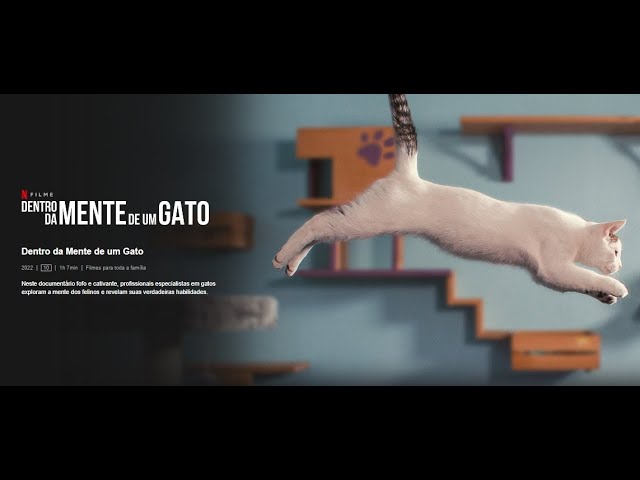 Olhos de Gato  Site oficial da Netflix