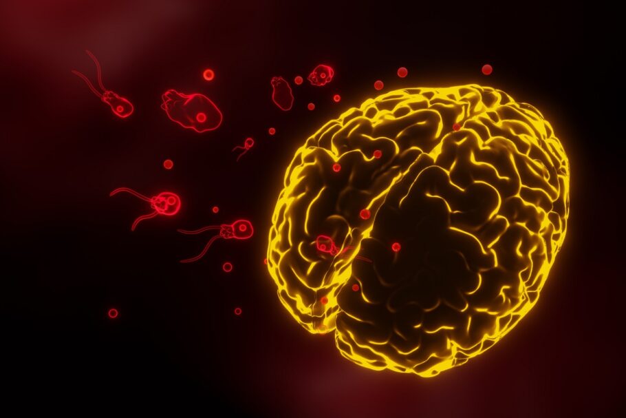 Homem morre por infecção causada por ameba comedora de cérebro