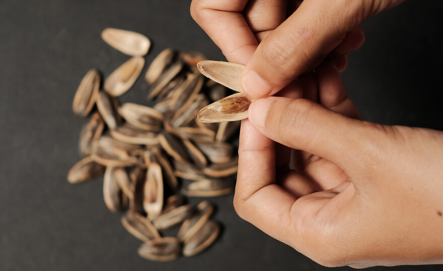 Como consumir semente de girassol?