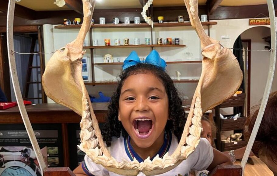 Museu do Tubarão é uma das atrações para crianças em Fernando de Noronha(PE)