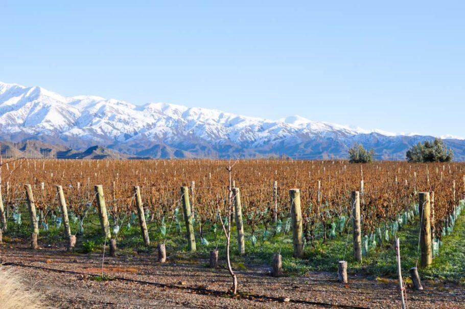 A região de Mendoza produz uma dos melhores vinhos da Argentina
