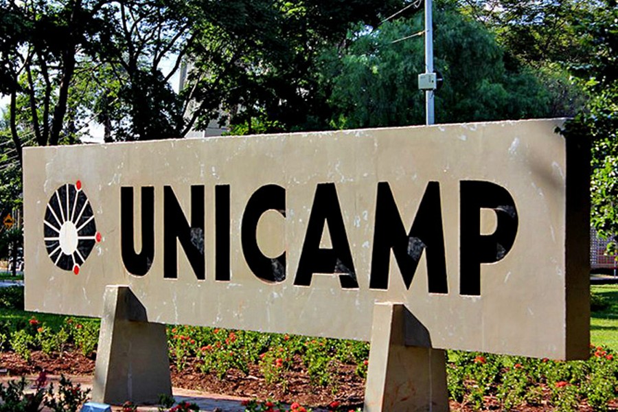 Os cursos gratuitos oferecidos pela Unicamp são para diversas áreas, como saúde, alfabetização e outros