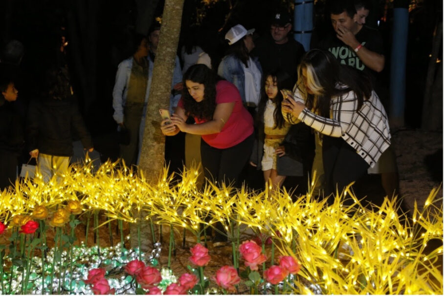 Os ingressos com desconto valem para a atração “Férias Iluminadas”